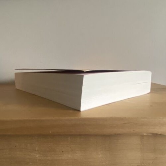 The Storyteller by Pierre Jarawan (2019, Trade Paperback) Book - Picture 5 of 5